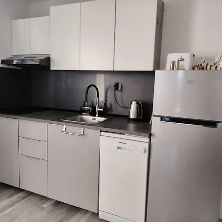 Apartment Boric *